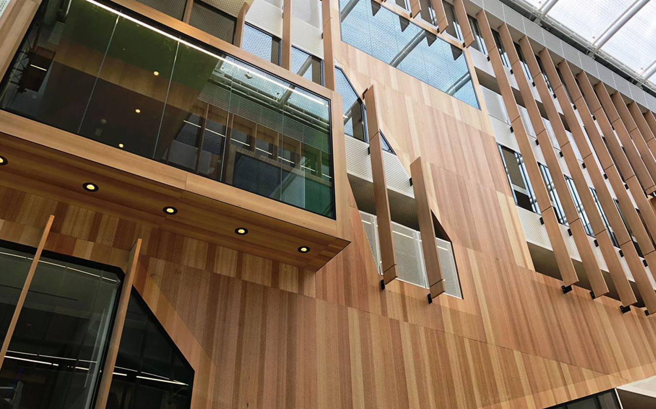 Acoustic Plywood Glass Wall Panel - Adelaide Botanic High School