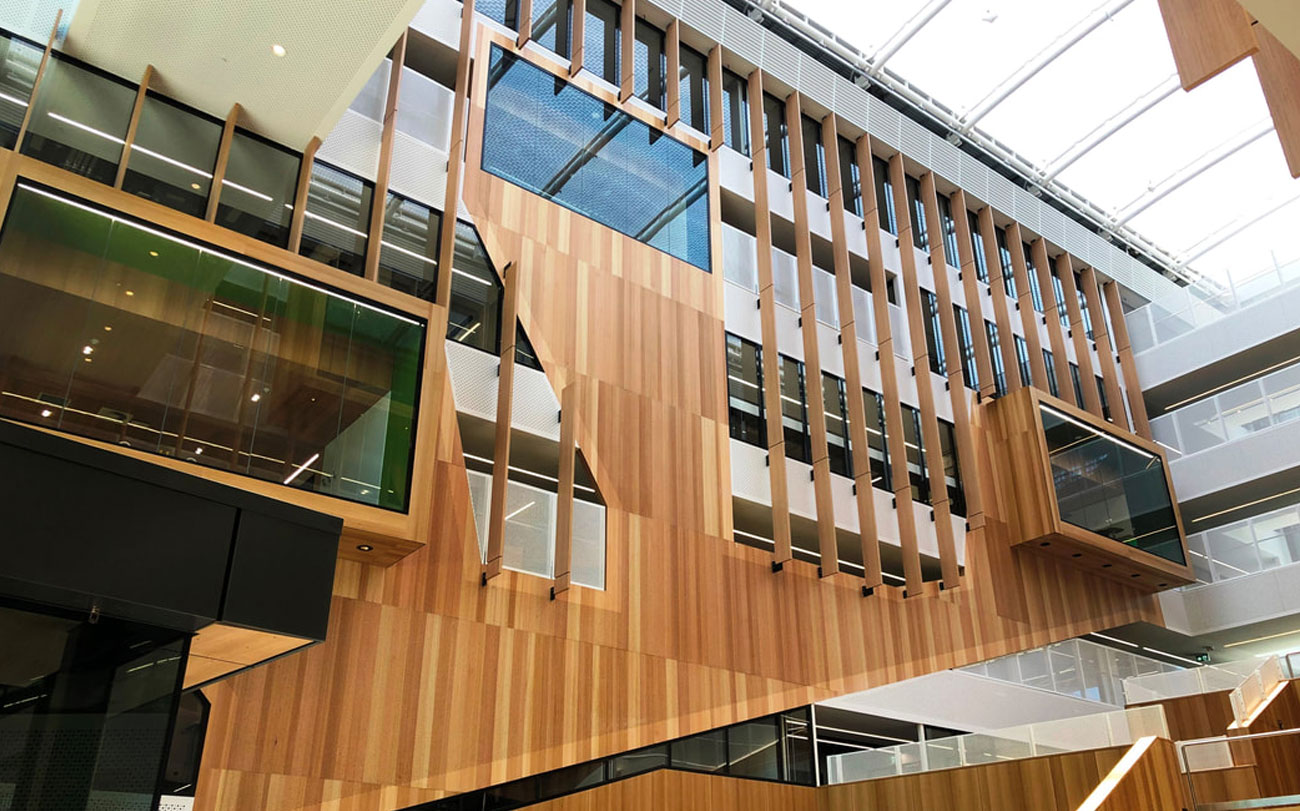 Acoustic MDF Ceiling Panels - Adelaide Botanic High School