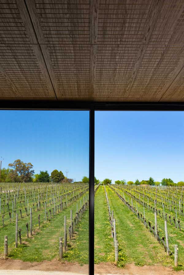 Key-Nirvana Acoustic Plywood Slotted ceiling panels Designed by Keystone Linings at Bird In Hand Winery Office