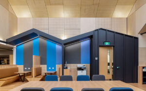 Acoustic panels for walls and ceilings by keystone linings at naracoorte library